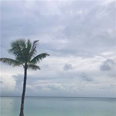 半岛综合官网App